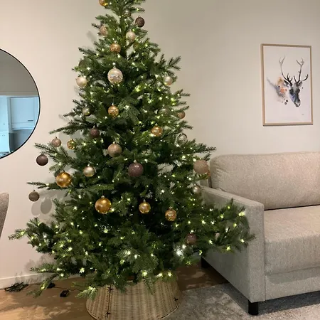 Daire Nordic By R&k Rovaniemi